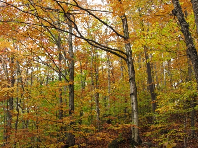 b1eb852aa2332cdc05129cebfcd04053